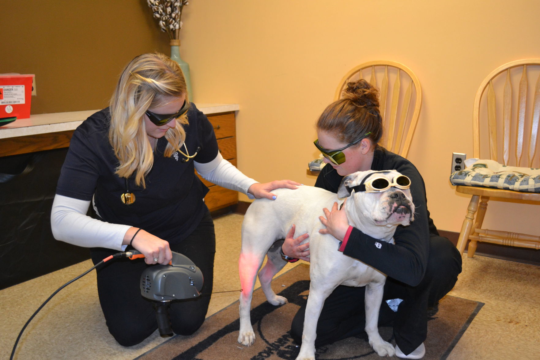 Magnolia Springs Veterinary Center